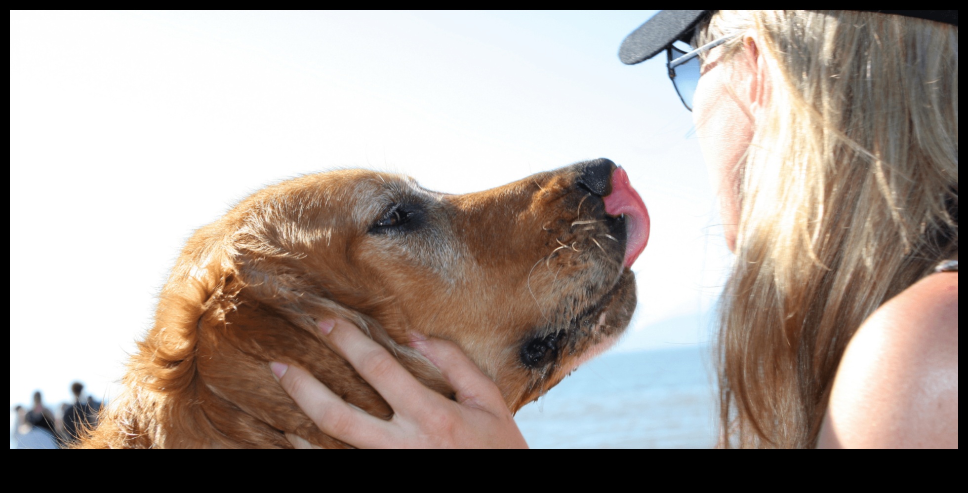 Köpek Günü Gezisi: Köpeğinizle En İyi Günlük Geziyi Planlamak