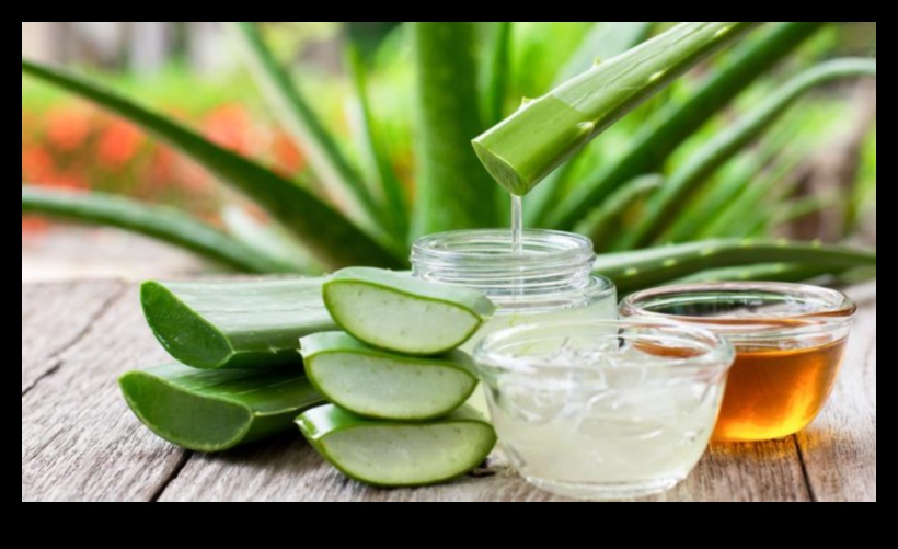 Aloe Vera İçecekleri İçin Nihai Kılavuz: Sağlık İçin İpuçları ve Püf Noktaları