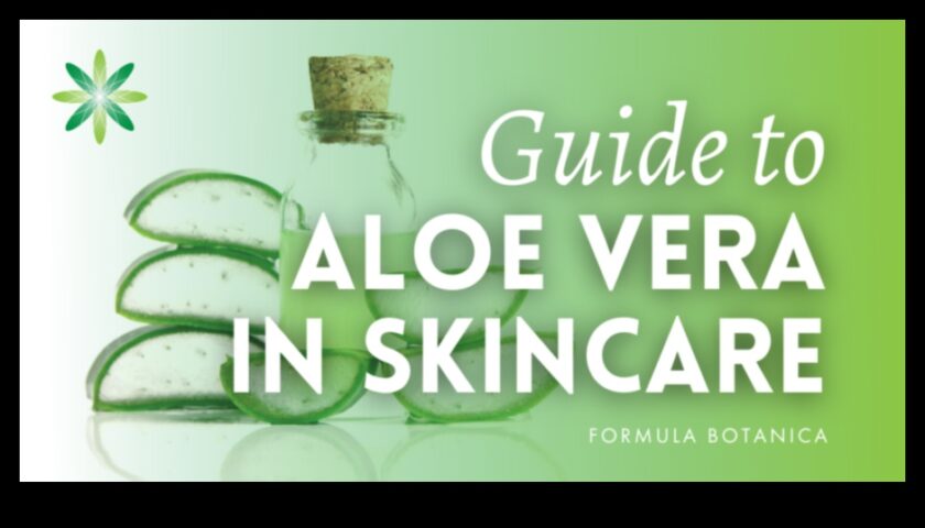 Aloe Vera İçecekleri İçin En İyi Rehber Sağlıklı Bir Işıltı İçin İpuçları ve Püf Noktaları