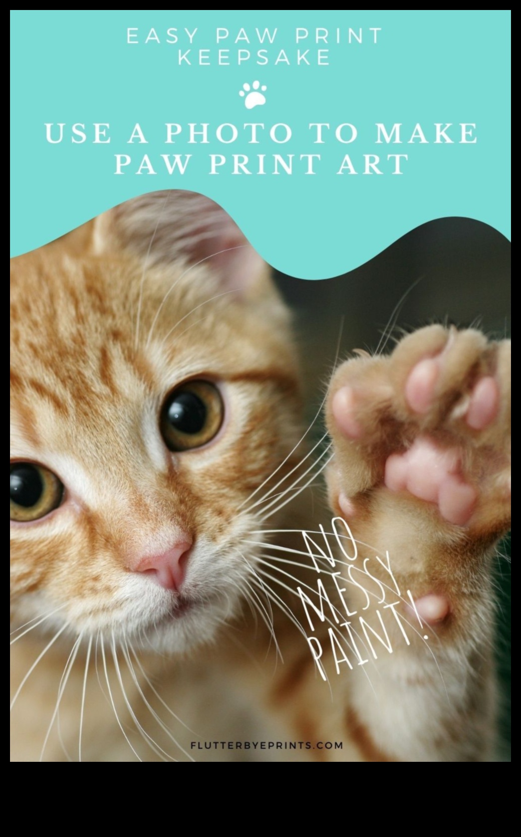 Paws ve Baskı: Kedinizle sanatsal hatıralar yaratmak