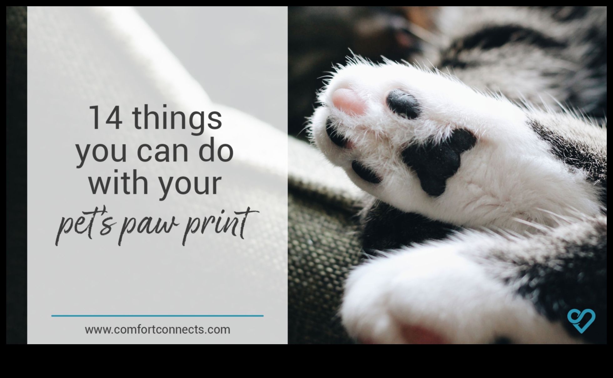 Paws ve Baskı: Kedinizle sanatsal hatıralar yaratmak