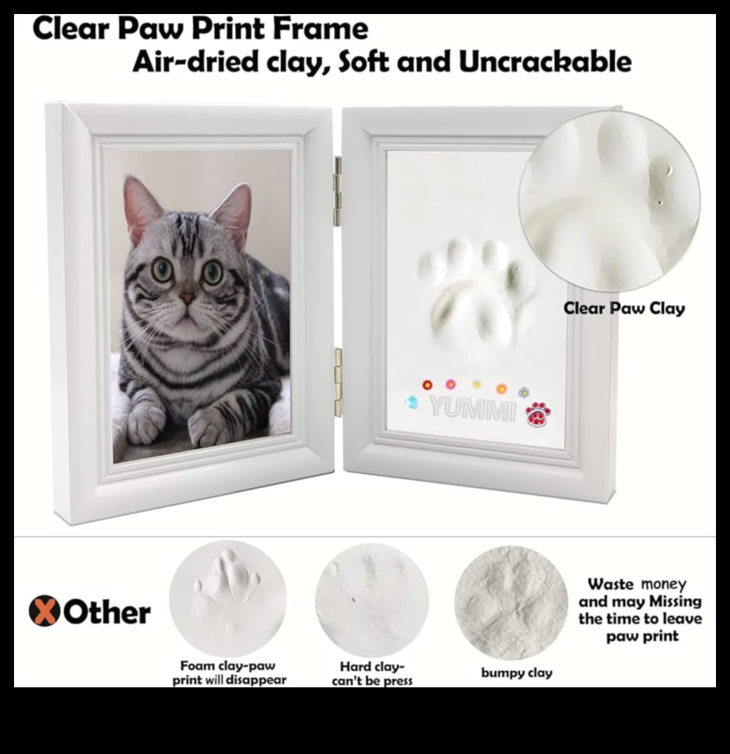 Paws ve Baskı: Kedinizle sanatsal hatıralar yaratmak