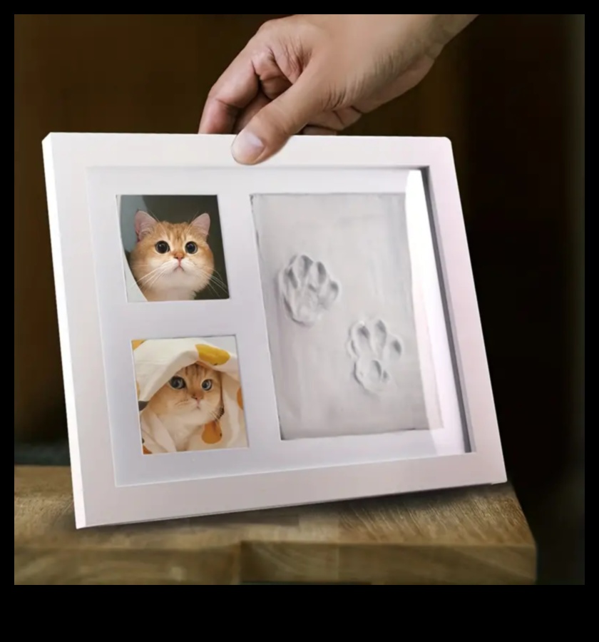 Paws ve Baskı: Kedinizle sanatsal hatıralar yaratmak