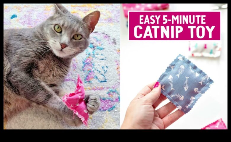 DIY Catnip Oyuncaklar Eğlenceli ve Uyarıcı Oyunları Hazırlayan